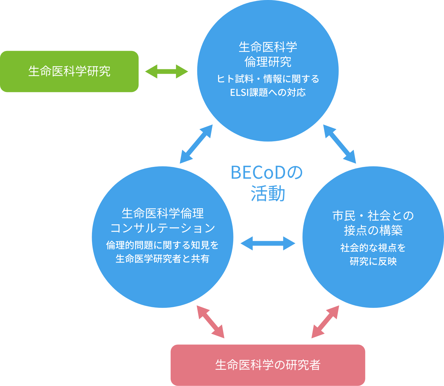 BECoDの活動