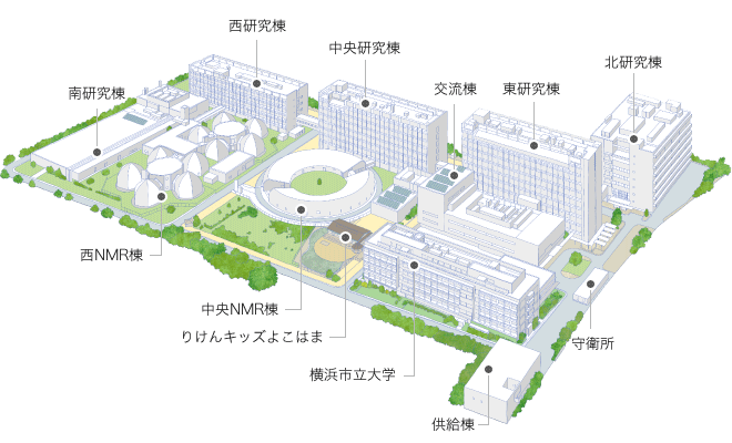 理化学研究所横浜キャンパス